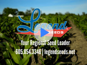 Legend Seeds