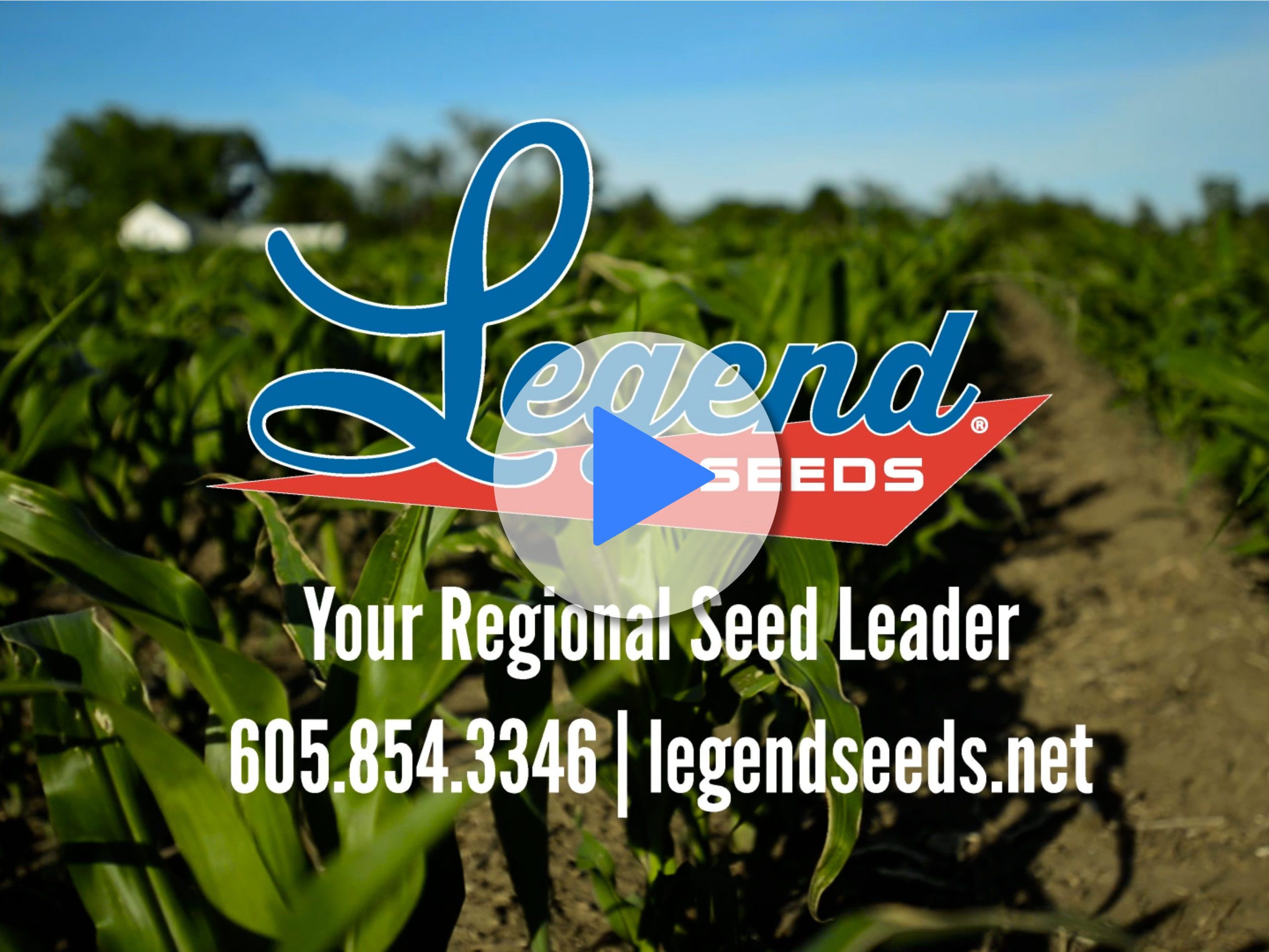 Legend Seeds scaled